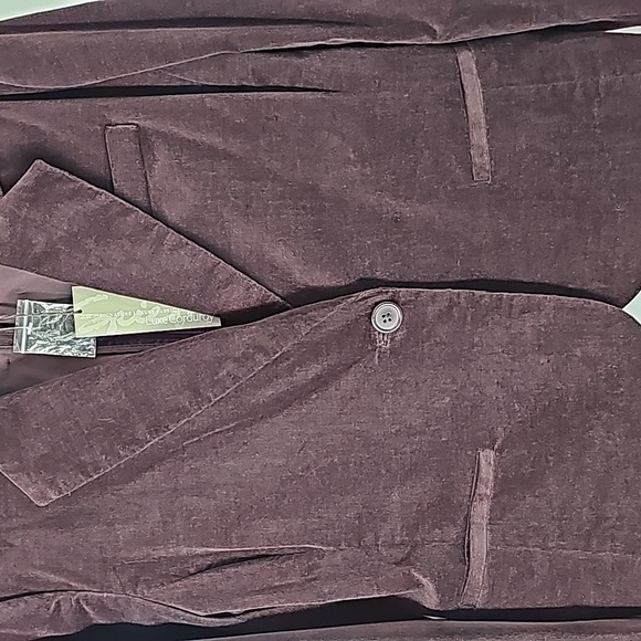 Spiegel Brown Corduroy Velvet Pant Suit - Picture 7 of 15